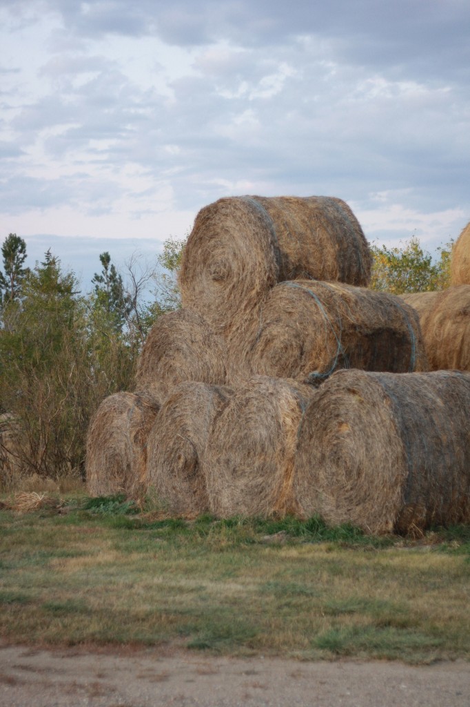 Hay Bales