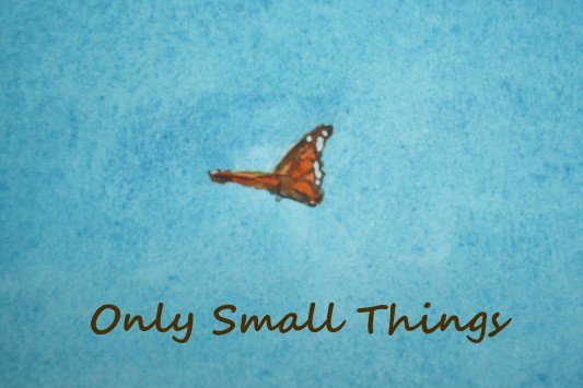 Only Small Things