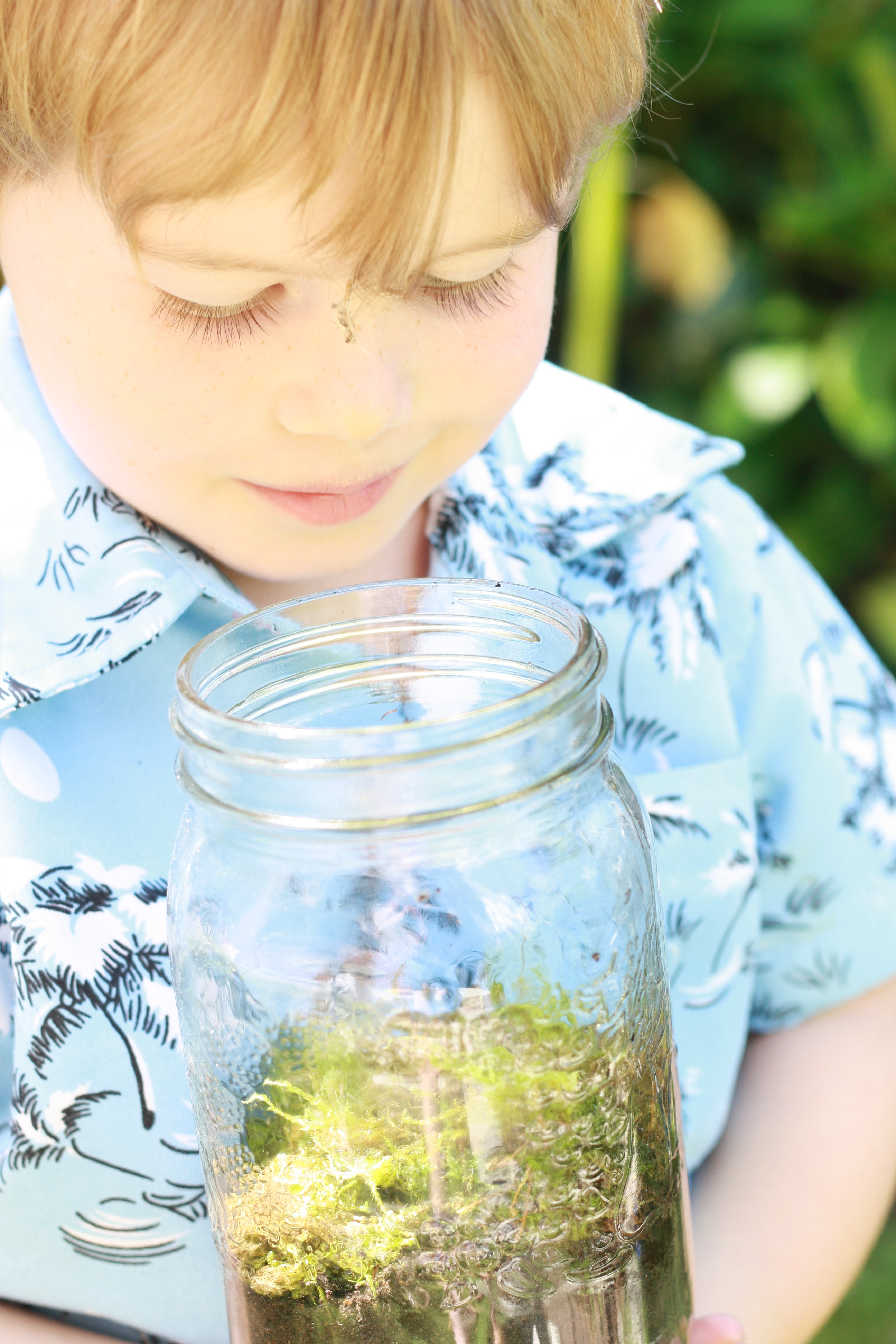 Hands-On Homeschooling: Tiny Terrariums