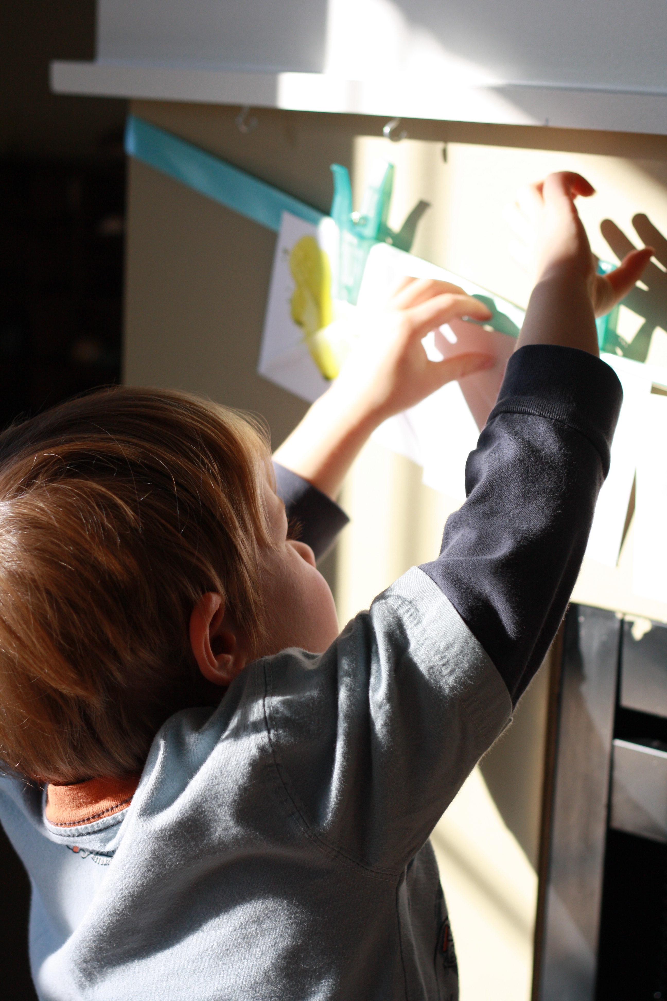 Homeschooling Methods – Exploring Montessori Activities