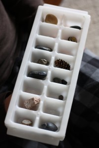 Nature Sorting Tray